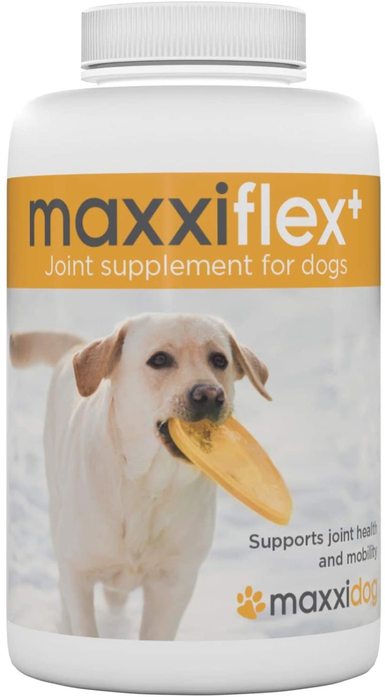 Maxxiflex Gelenktabletten für Hunde mit Kurkuma Nur für dich