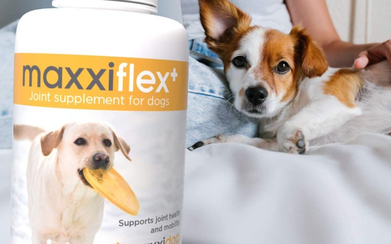 Maxxiflex Gelenktabletten für Hunde